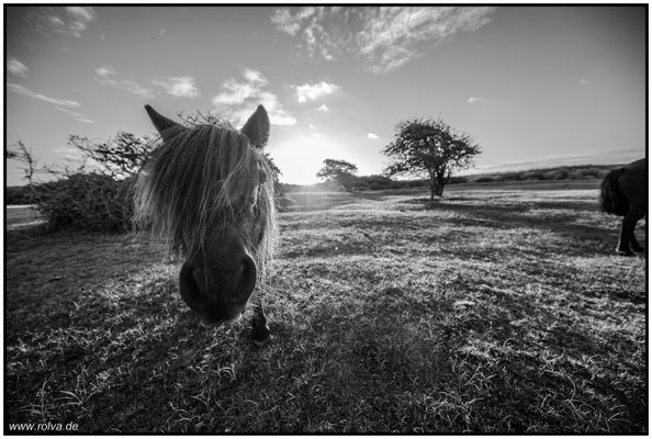 Naturfotografie # Landschaftsfotografie # Roland Valter # Fotograf # Aachen # rolva