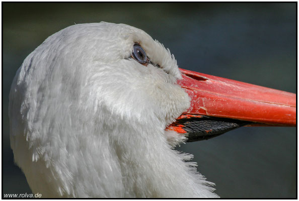 Naturfotografie # Landschaftsfotografie # Roland Valter # Fotograf # Aachen # rolva