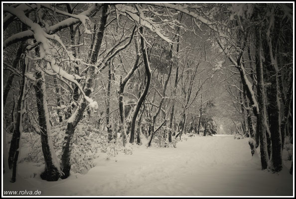 Naturfotografie # Landschaftsfotografie # Roland Valter # Fotograf # Aachen # rolva