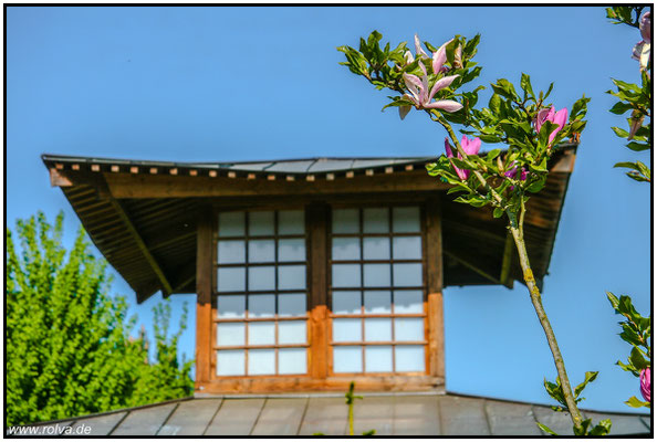 japanisches Teehaus#Mandelblüte