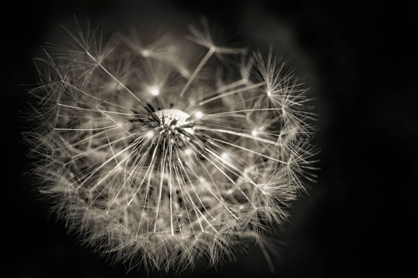 Naturfotografie # Landschaftsfotografie # Roland Valter # Fotograf # Aachen # rolva