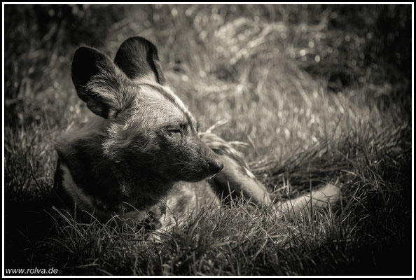 Naturfotografie # Landschaftsfotografie # Roland Valter # Fotograf # Aachen # rolva