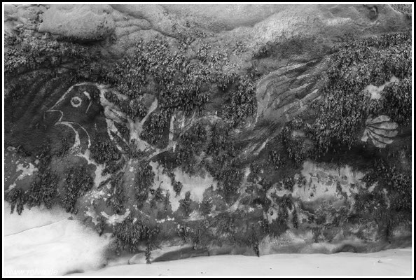 Felsmalerei#Normandie#Kunst#Sonderbares