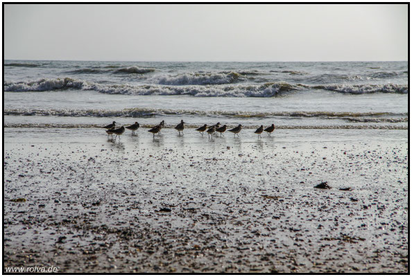 Naturfotografie # Landschaftsfotografie # Roland Valter # Fotograf # Aachen # rolva