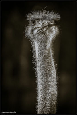 Naturfotografie # Landschaftsfotografie # Roland Valter # Fotograf # Aachen # rolva