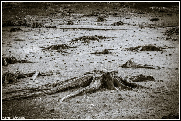 Naturfotografie # Landschaftsfotografie # Roland Valter # Fotograf # Aachen # rolva