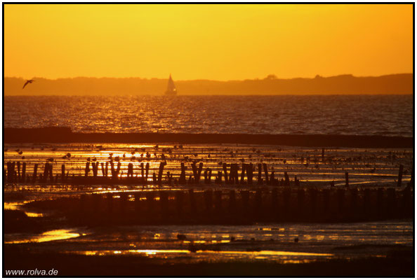 Naturfotografie # Landschaftsfotografie # Roland Valter # Fotograf # Aachen # rolva