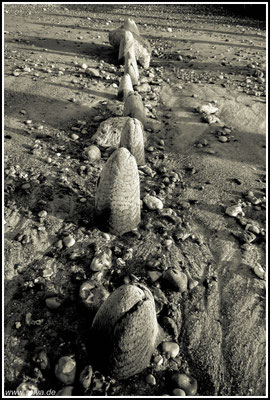 Naturfotografie # Landschaftsfotografie # Roland Valter # Fotograf # Aachen # rolva