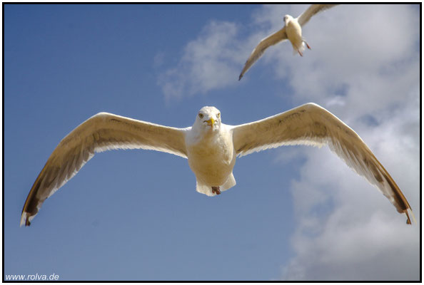 Naturfotografie # Landschaftsfotografie # Roland Valter # Fotograf # Aachen # rolva