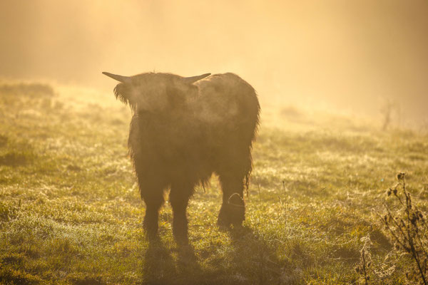 Naturfotografie # Landschaftsfotografie # Roland Valter # Fotograf # Aachen # rolva