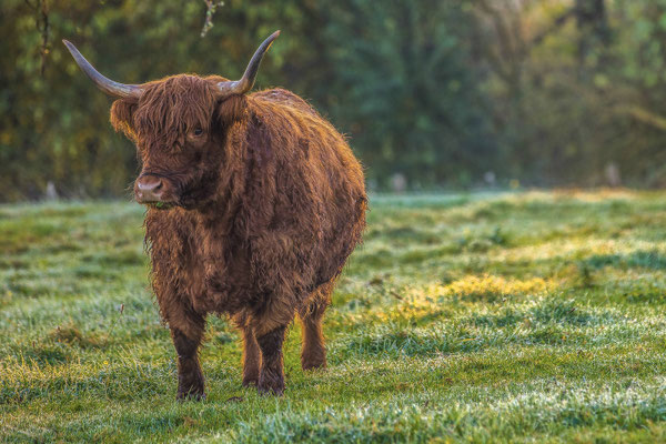 Naturfotografie # Landschaftsfotografie # Roland Valter # Fotograf # Aachen # rolva