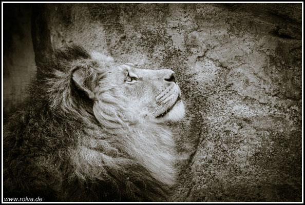 Naturfotografie # Landschaftsfotografie # Roland Valter # Fotograf # Aachen # rolva
