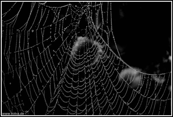 Naturfotografie # Landschaftsfotografie # Roland Valter # Fotograf # Aachen # rolva