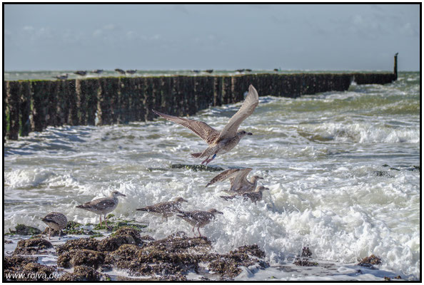 Naturfotografie # Landschaftsfotografie # Roland Valter # Fotograf # Aachen # rolva