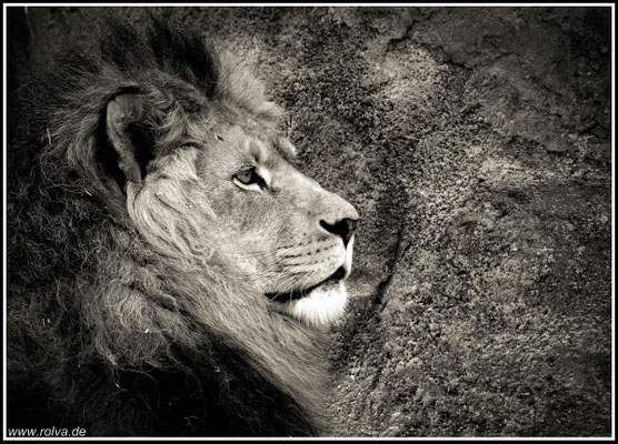 Naturfotografie # Landschaftsfotografie # Roland Valter # Fotograf # Aachen # rolva