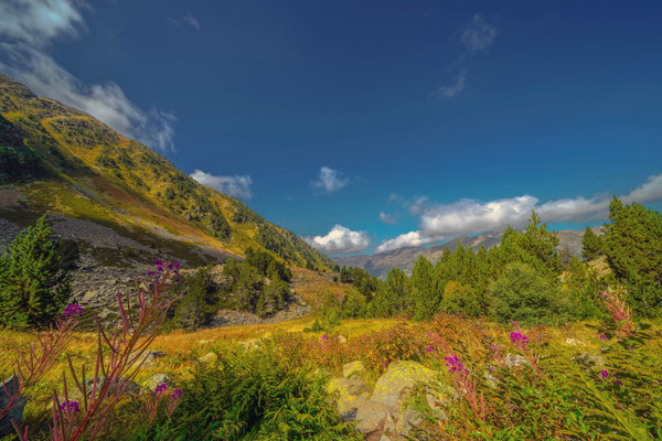 Naturfotografie # Landschaftsfotografie # Roland Valter # Fotograf # Aachen # rolva