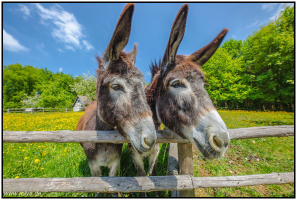 Naturfotografie # Landschaftsfotografie # Roland Valter # Fotograf # Aachen # rolva