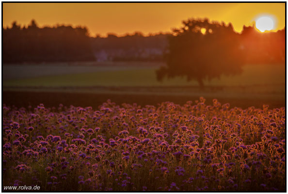 Naturfotografie # Landschaftsfotografie # Roland Valter # Fotograf # Aachen # rolva