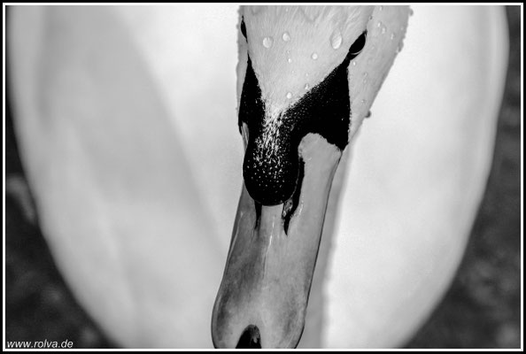 Naturfotografie # Landschaftsfotografie # Roland Valter # Fotograf # Aachen # rolva