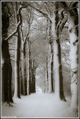 Naturfotografie # Landschaftsfotografie # Roland Valter # Fotograf # Aachen # rolva