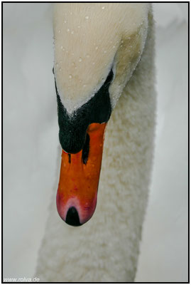 Naturfotografie # Landschaftsfotografie # Roland Valter # Fotograf # Aachen # rolva