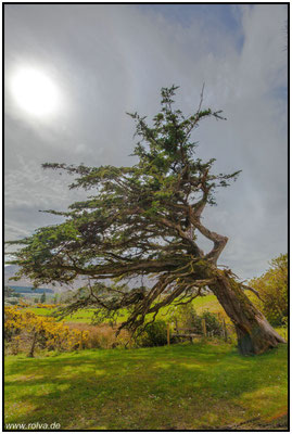 Naturfotografie # Landschaftsfotografie # Roland Valter # Fotograf # Aachen # rolva