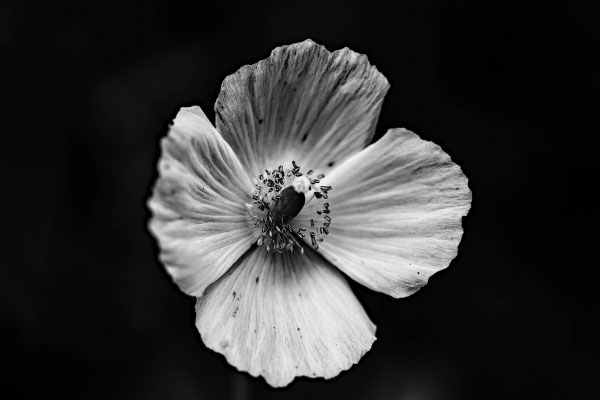 Naturfotografie # Landschaftsfotografie # Roland Valter # Fotograf # Aachen # rolva