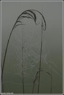 Naturfotografie # Landschaftsfotografie # Roland Valter # Fotograf # Aachen # rolva