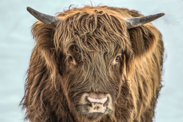 Naturfotografie # Landschaftsfotografie # Roland Valter # Fotograf # Aachen # rolva