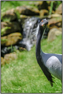 Naturfotografie # Landschaftsfotografie # Roland Valter # Fotograf # Aachen # rolva