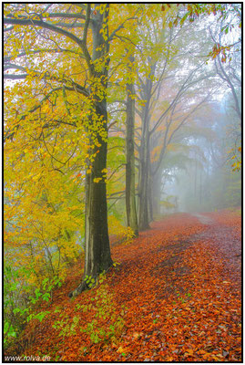 Herbst#Geul#Schin op Geul