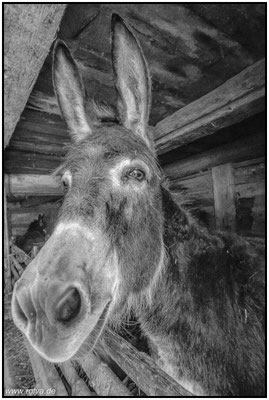Naturfotografie # Landschaftsfotografie # Roland Valter # Fotograf # Aachen # rolva