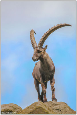 Naturfotografie # Landschaftsfotografie # Roland Valter # Fotograf # Aachen # rolva