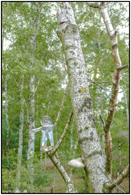 Dosemnann#Sonderbares