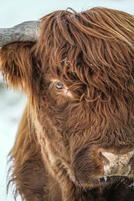 Naturfotografie # Landschaftsfotografie # Roland Valter # Fotograf # Aachen # rolva
