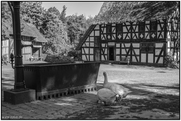 Naturfotografie # Landschaftsfotografie # Roland Valter # Fotograf # Aachen # rolva