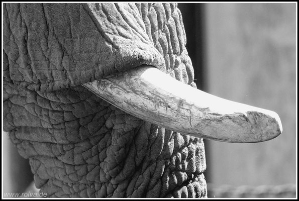 Naturfotografie # Landschaftsfotografie # Roland Valter # Fotograf # Aachen # rolva
