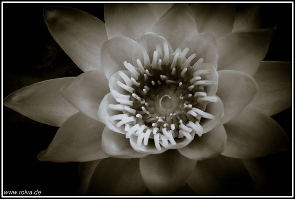 Naturfotografie # Landschaftsfotografie # Roland Valter # Fotograf # Aachen # rolva