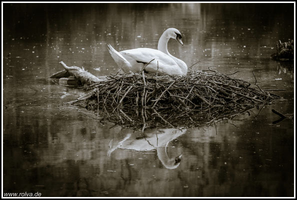 Naturfotografie # Landschaftsfotografie # Roland Valter # Fotograf # Aachen # rolva