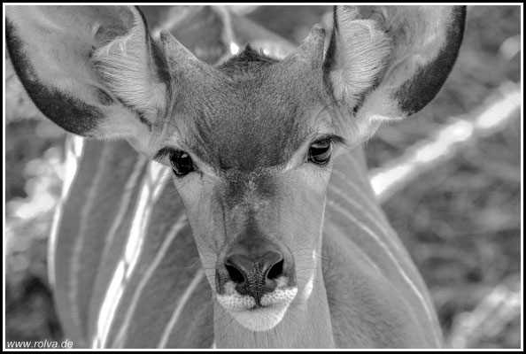 Naturfotografie # Landschaftsfotografie # Roland Valter # Fotograf # Aachen # rolva