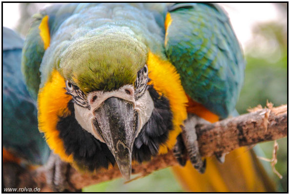 Naturfotografie # Landschaftsfotografie # Roland Valter # Fotograf # Aachen # rolva