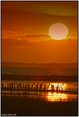 Naturfotografie # Landschaftsfotografie # Roland Valter # Fotograf # Aachen # rolva