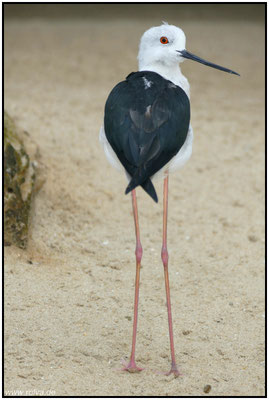 Naturfotografie # Landschaftsfotografie # Roland Valter # Fotograf # Aachen # rolva