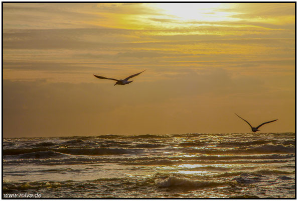 Naturfotografie # Landschaftsfotografie # Roland Valter # Fotograf # Aachen # rolva