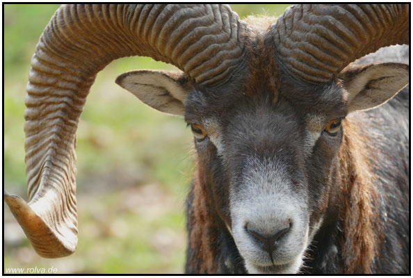 Naturfotografie # Landschaftsfotografie # Roland Valter # Fotograf # Aachen # rolva