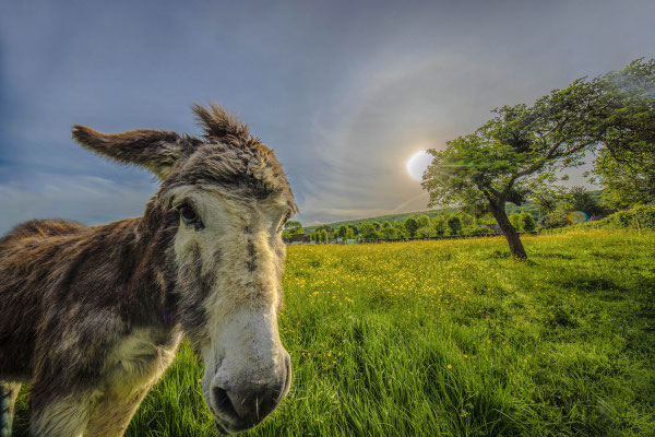 Naturfotografie # Landschaftsfotografie # Roland Valter # Fotograf # Aachen # rolva