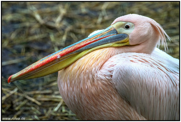 Naturfotografie # Landschaftsfotografie # Roland Valter # Fotograf # Aachen # rolva
