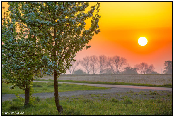 Naturfotografie # Landschaftsfotografie # Roland Valter # Fotograf # Aachen # rolva