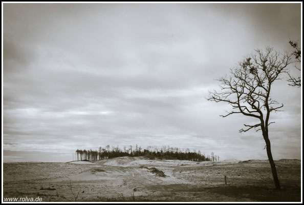 Naturfotografie # Landschaftsfotografie # Roland Valter # Fotograf # Aachen # rolva