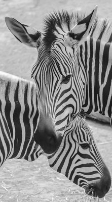 Naturfotografie # Landschaftsfotografie # Roland Valter # Fotograf # Aachen # rolva